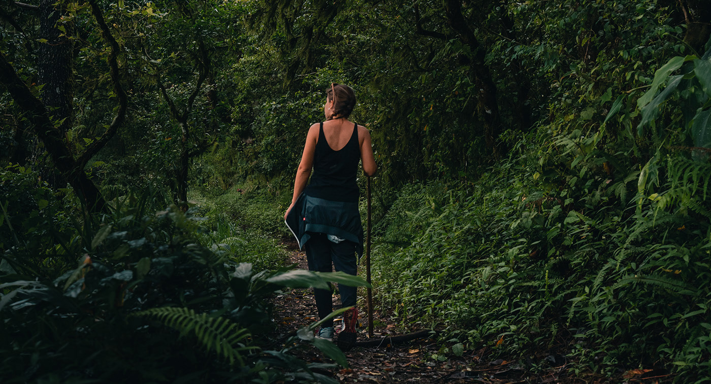 Alpine Design Sales Store 2 Alpine Design Sales Store -Alpine Design Sales Store